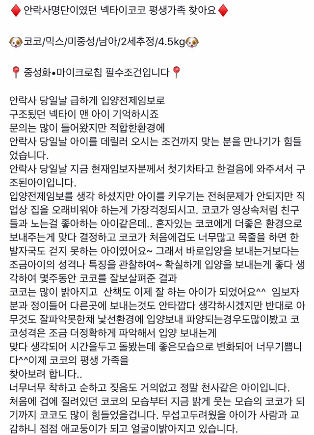 안락사 위기인 애들 보구가줘!!ㅠㅠ | 인스티즈