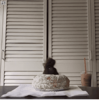 라바...GIF | 인스티즈