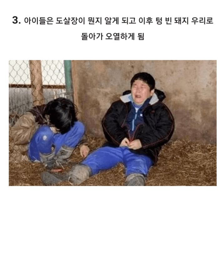 일본의 흔한 초등학교 | 인스티즈