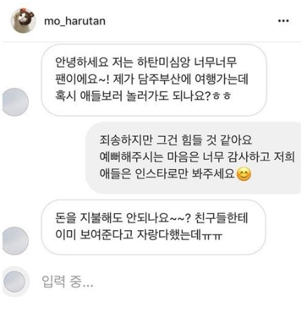 잉스타 유명고양이집사들이 받는 DM | 인스티즈