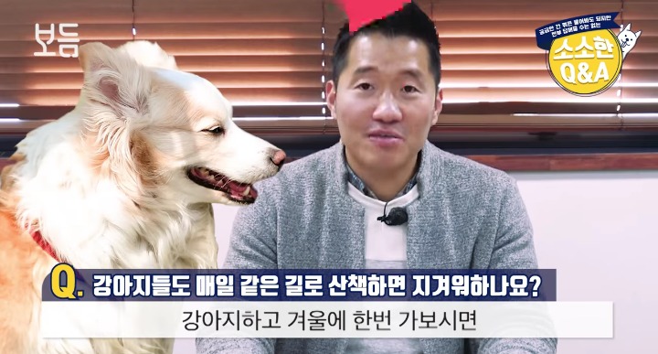 [강형욱의소소한Q&amp;A] 강아지도 매일 같은 길로 산책하면 지겨워 하나요? | 인스티즈