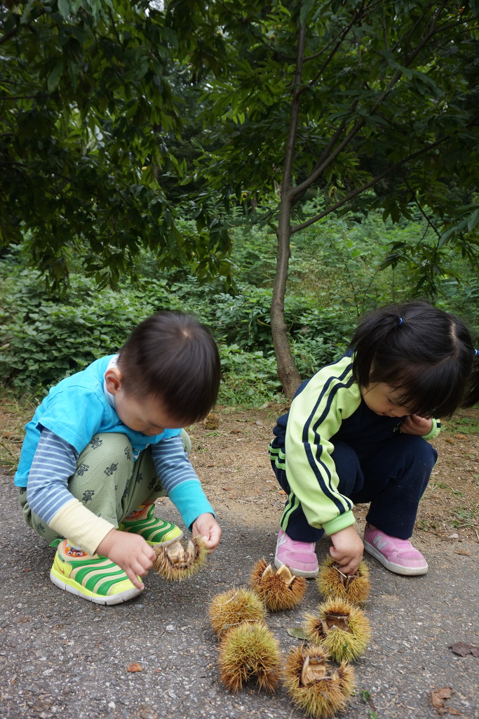 꿈빛나무어린이집 이미지