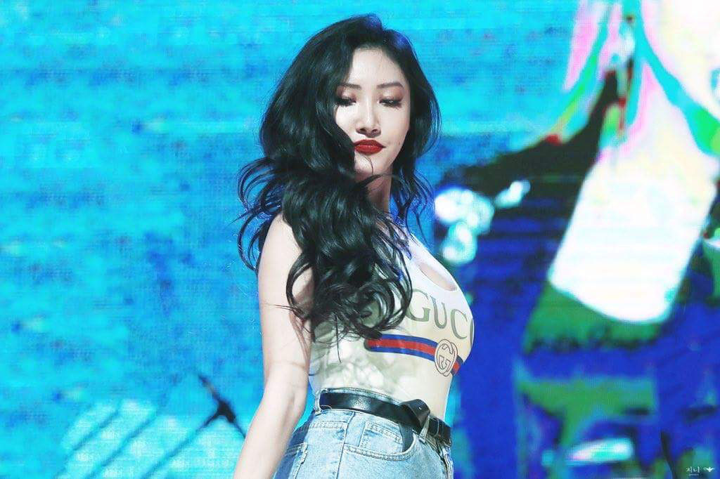 무대의상으로 쓰인 수영복들 | 인스티즈