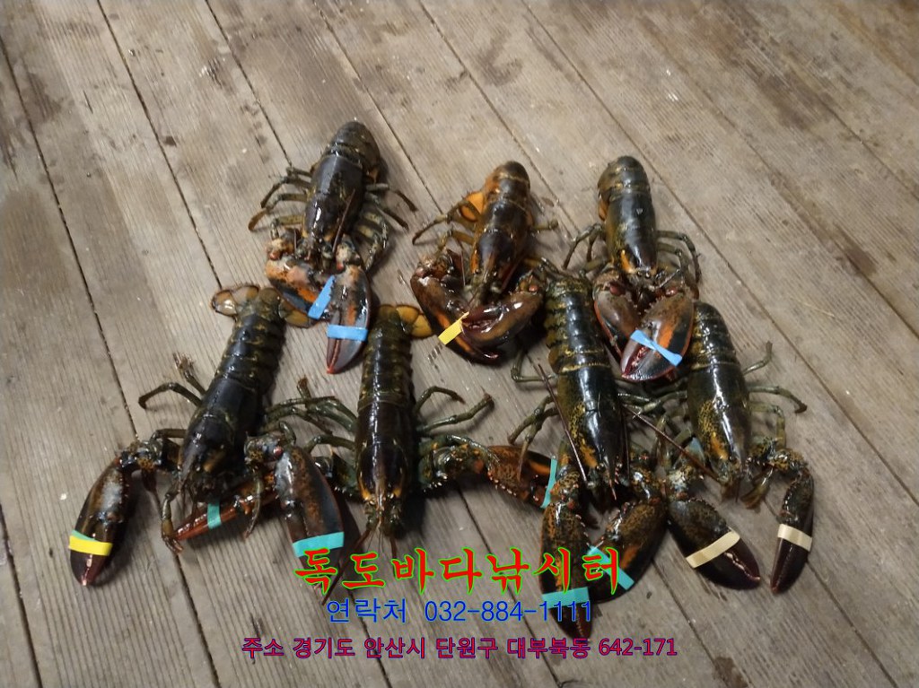 랍스타하우스 이미지