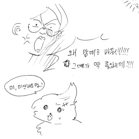 아름다운 애완인간 | 인스티즈