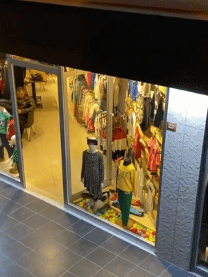 옷가게에 들어와 우다다하는 냥이.gif | 인스티즈