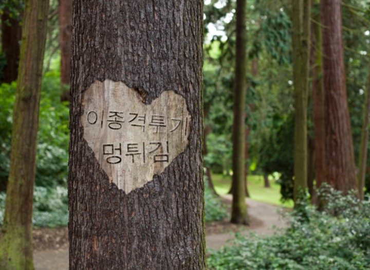 쉐보레 올란도,크루즈 모두 단종 | 인스티즈