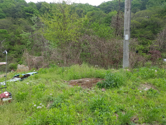 텃밭2 이미지
