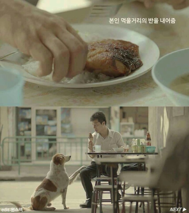 전세계를 울린 태국의 공익광고 | 인스티즈