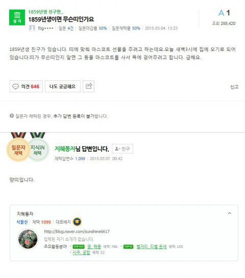 무당이 답변 달아준 지식인글 | 인스티즈