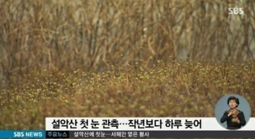 본인이 생각하는 첫눈의 기준은? | 인스티즈