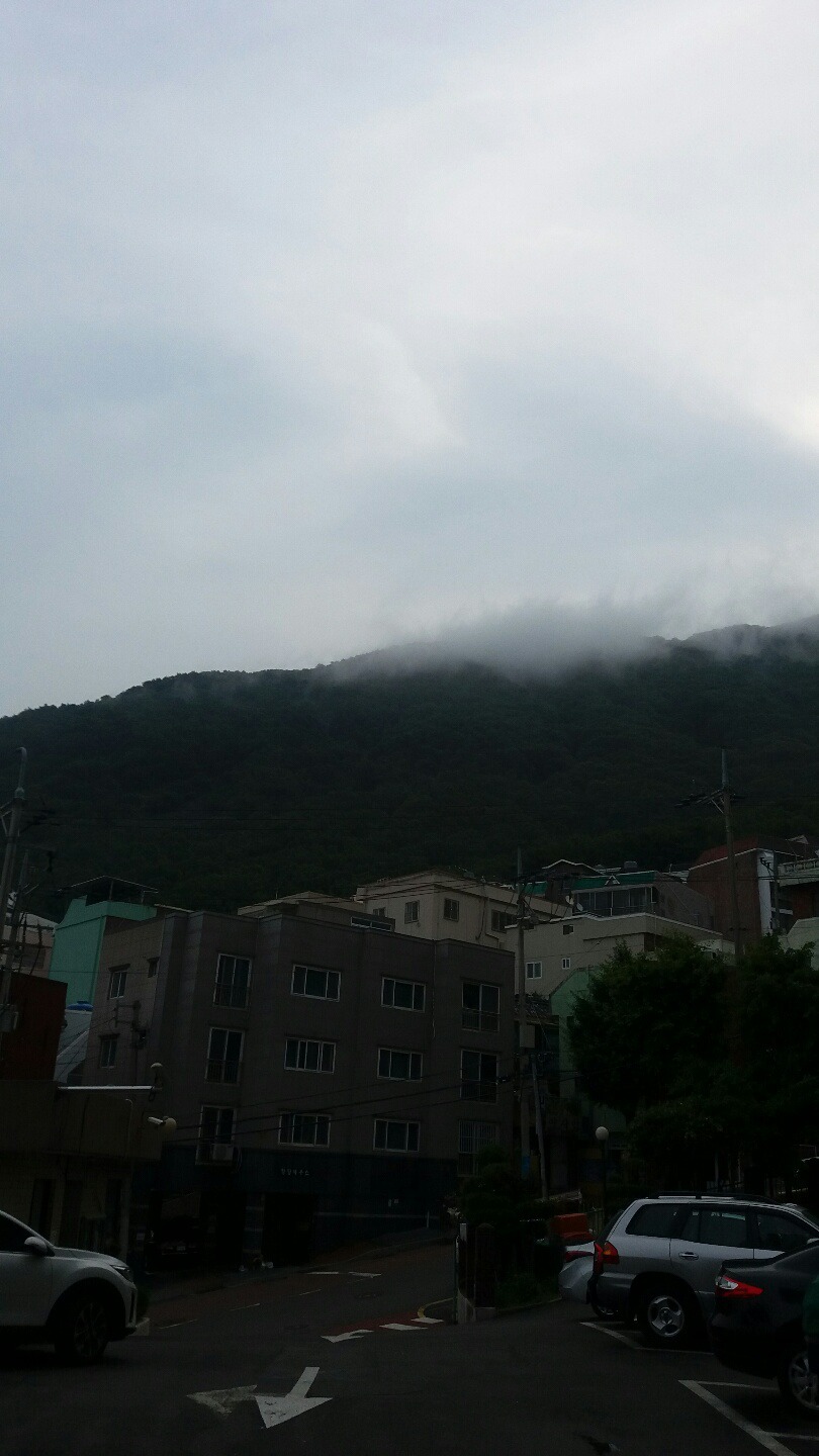 금수사 이미지