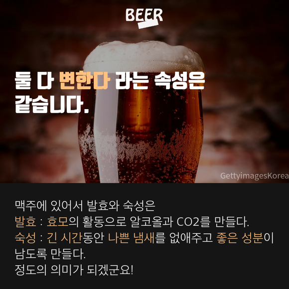발효와 숙성의 차이? - 맥주 이야기 | 인스티즈