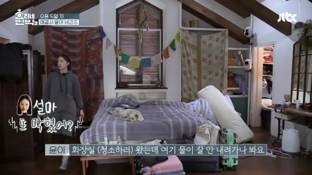 [효리네민박2] 뚫어뻥 없이 변기 뚫는 알바생 윤아 | 인스티즈