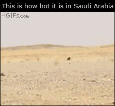 사막의 뜨거움.gif | 인스티즈