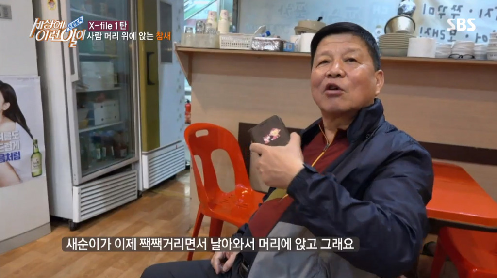 [세상에이런일이] 엄청 충격적이였던 오늘편 사람을 좋아하는 참새 새순이 이야기.jpg | 인스티즈