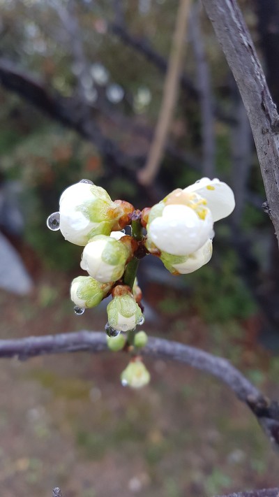 992EEC435C974B933742D5