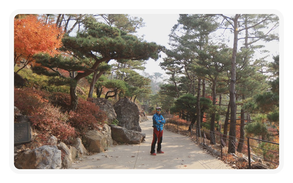하담 이미지