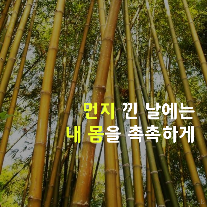 미세먼지 깨알 팁 | 인스티즈