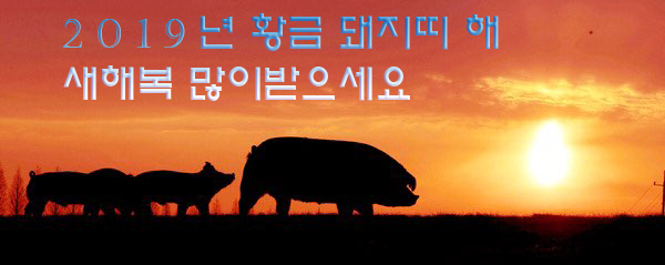 황금돼지복권 이미지