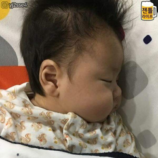 아기들의 통통한 볼살 | 인스티즈