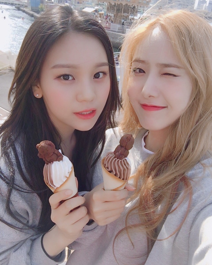 신비양 이미지
