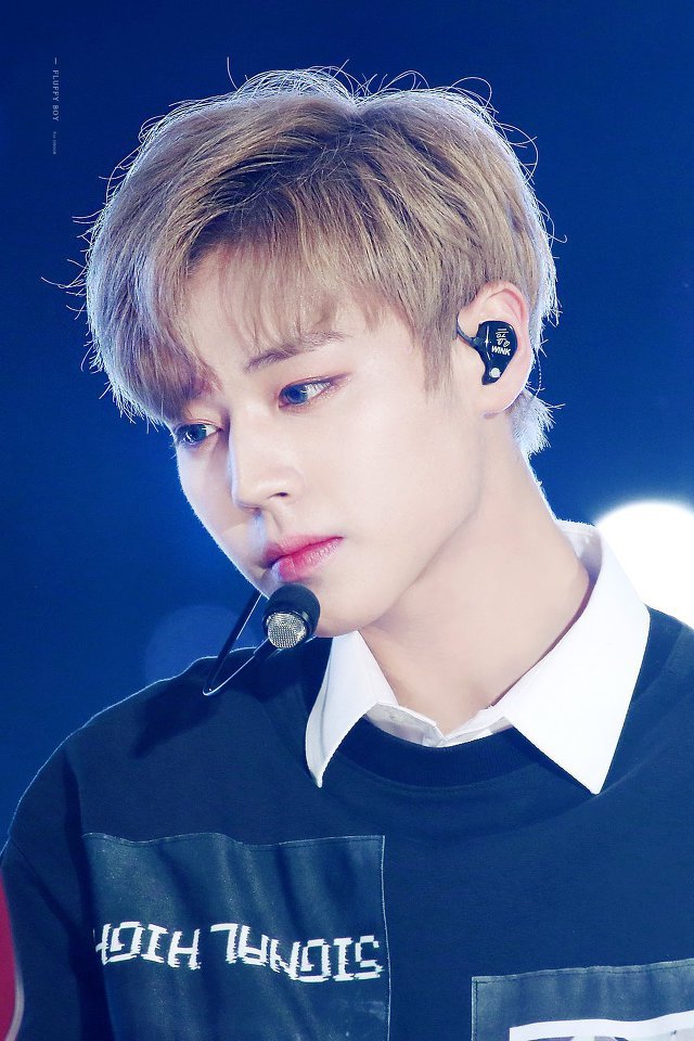 2018년 첫 박지훈♡ | 인스티즈