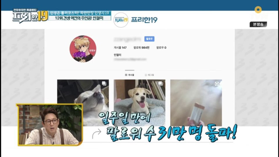 [인절미/짱절미] tvn 프리한19 견생역전의 주인공 | 인스티즈