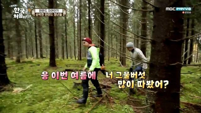 [어서와~한국은처음이지?] 핀란드 20대男들의 유흥문화 | 인스티즈