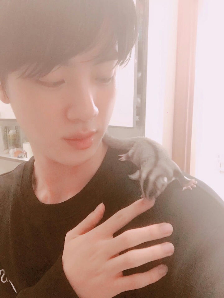 방탄소년단 진이 키우는 슈가글라이더 오뎅이와 어묵이 | 인스티즈
