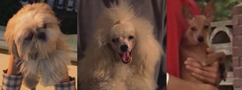 봉준호 영화세계에서 내가 가장 좋아하는 캐릭터는？.JPG | 인스티즈