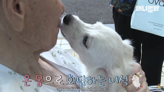 주인님이 열흘 째 문을 열어주지 않아요.. (캡쳐) | 인스티즈