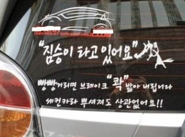 저혈압 치료되는 사진들 | 인스티즈