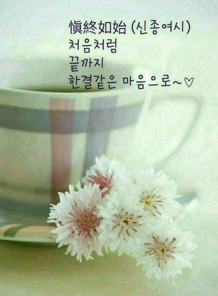 신가네 이미지