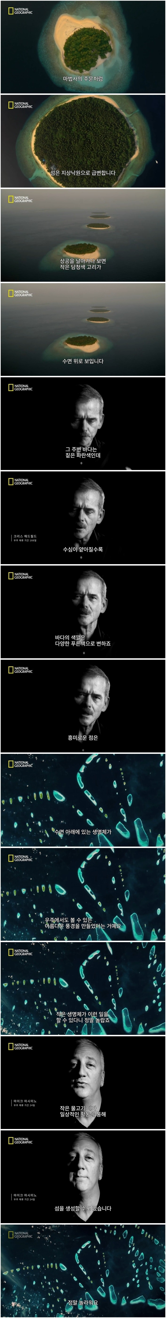 펌글) 먹고 싸기만 해도 지구에 유익한 비늘돔 .jpgif | 인스티즈