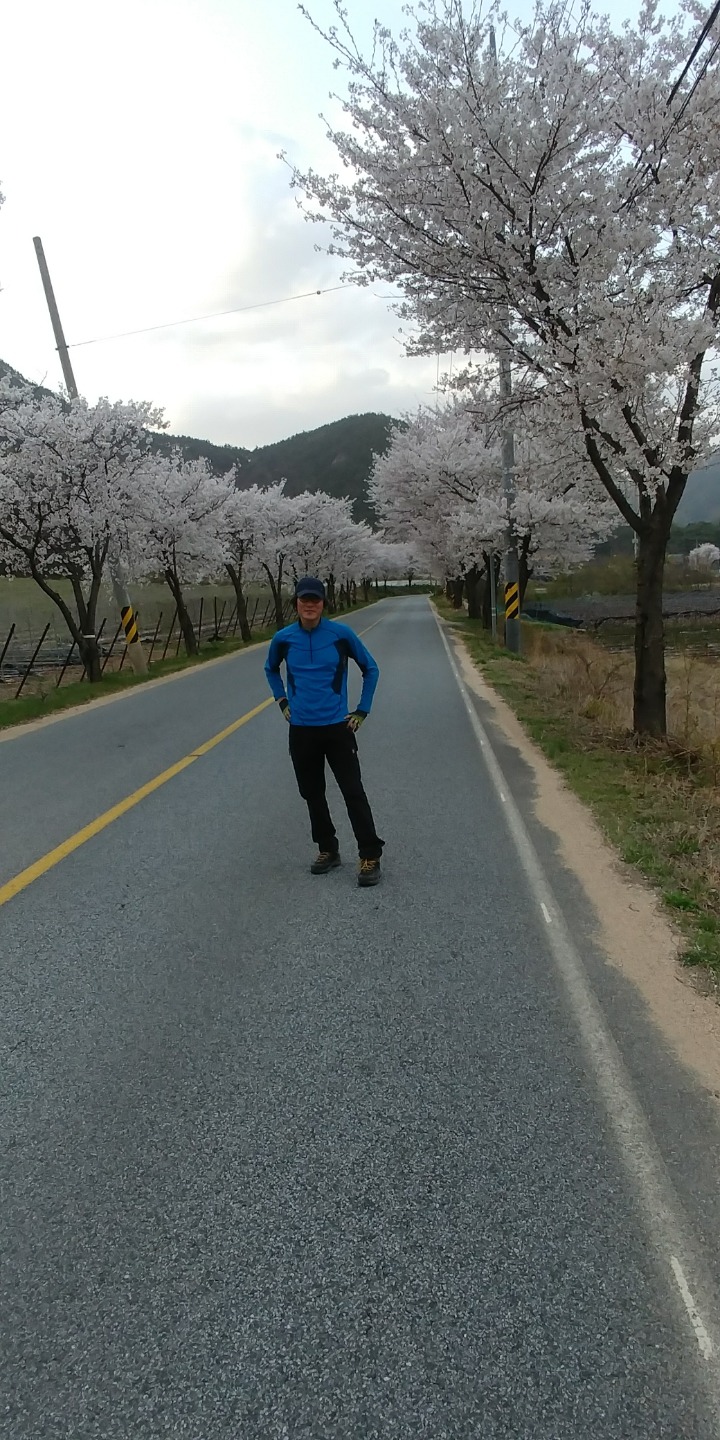 바고 이미지