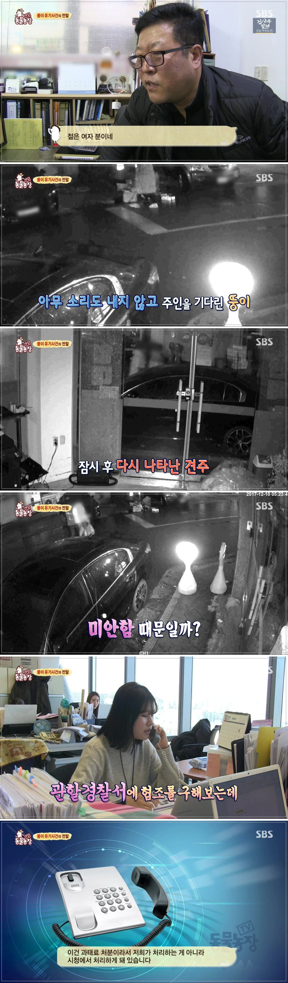 TV동물농장 뚱이 유기사건의 전말 | 인스티즈