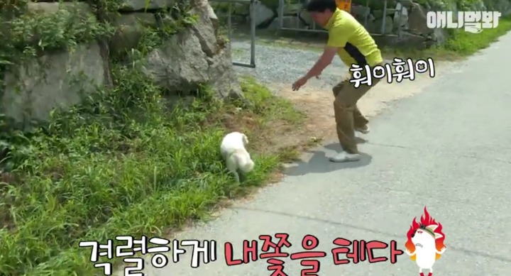 키워키우라고 vs 절대 안키울거라는 아저씨 | 인스티즈