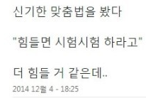 맞춤법 대참사.jpg | 인스티즈