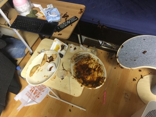 하.... 고양이가 또 대형사고 쳤네여...ㅠㅠ | 인스티즈