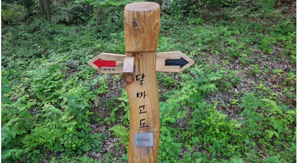 숲길 전경 이미지