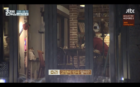 [효리네민박] 윤아와 눈인사 잘해주는 고양이 삼식이ㅠㅠ.gif | 인스티즈