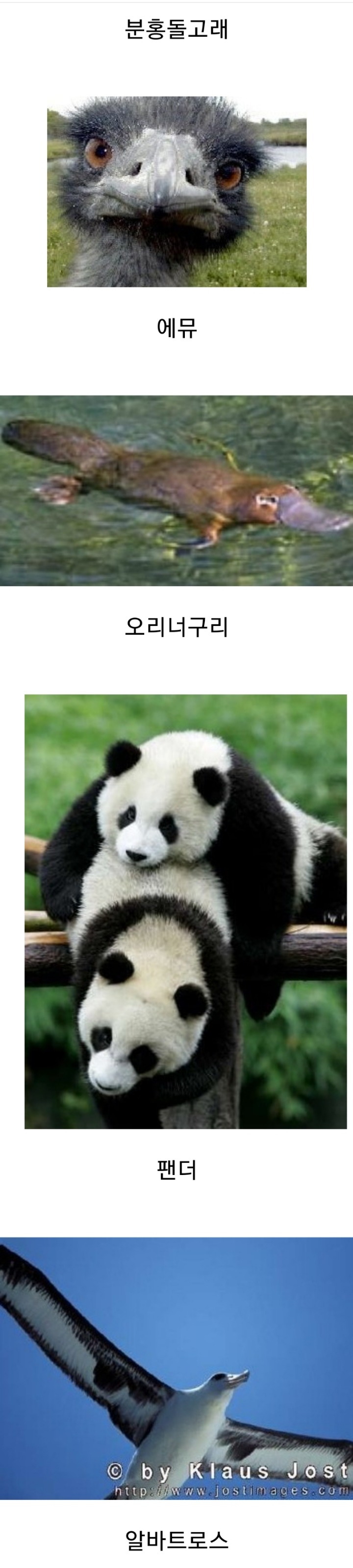 지구를 망치고 멍들게 하는 최악의 바이러스 같은 존재 | 인스티즈