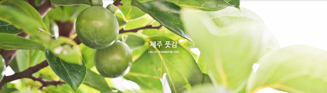 이니스프리가 얼마나 제주도를 탈탈 터는지 알아보자(feat.제주도 착즙기 브랜드).jpg | 인스티즈