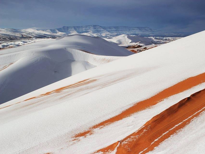 스키장으로 변한 사하라 | 인스티즈