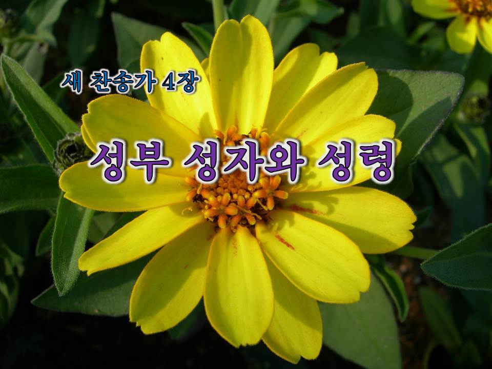 성부 이미지