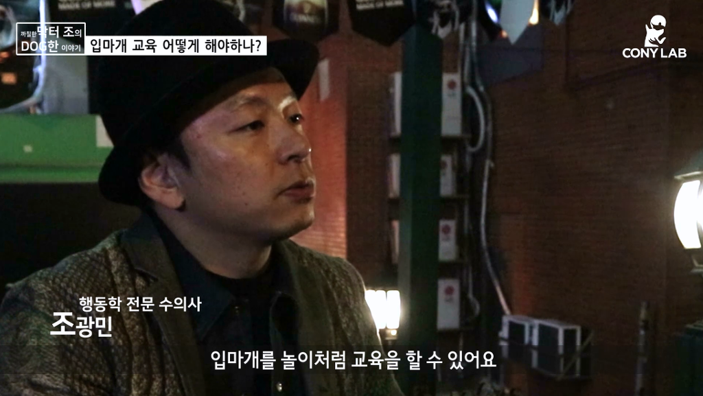 [영상] 강아지에게 거부감 안들게 입마개 교육하는 법! | 인스티즈