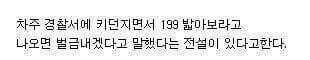 속도위반류 전설의 레전드 | 인스티즈