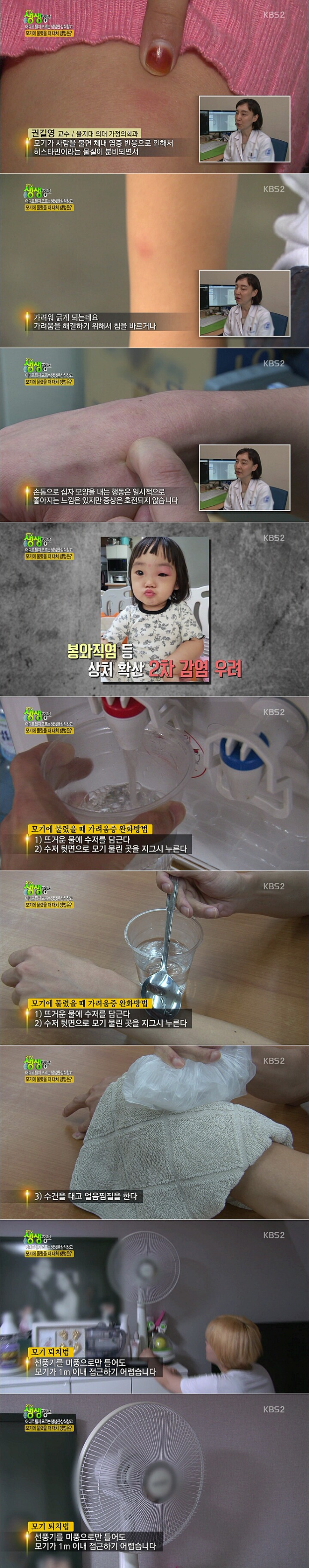 모기가 안사랑하게 하는법 | 인스티즈