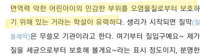 너네 * 쳐녀막 대체어 * 프로젝트 진행된거 혹시 알고 있니?(성에 대해 궁금하고 무지해도 다 들어와라) | 인스티즈